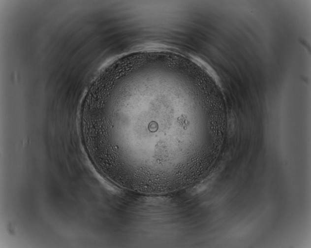 X0000093361429200710111446