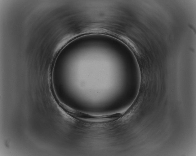 X0000093361430200710111446