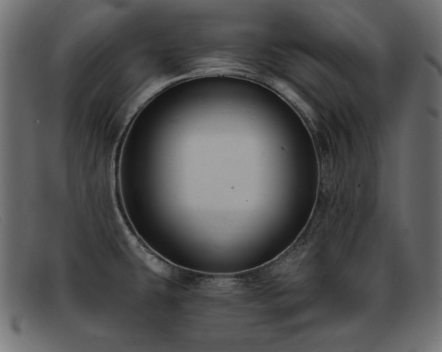 X0000093361431200710111446