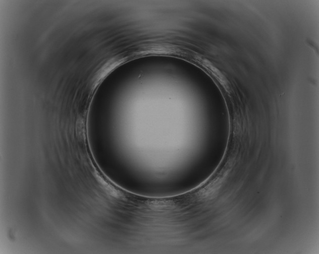 X0000093361433200710111446