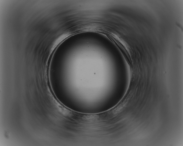 X0000093361434200710111446
