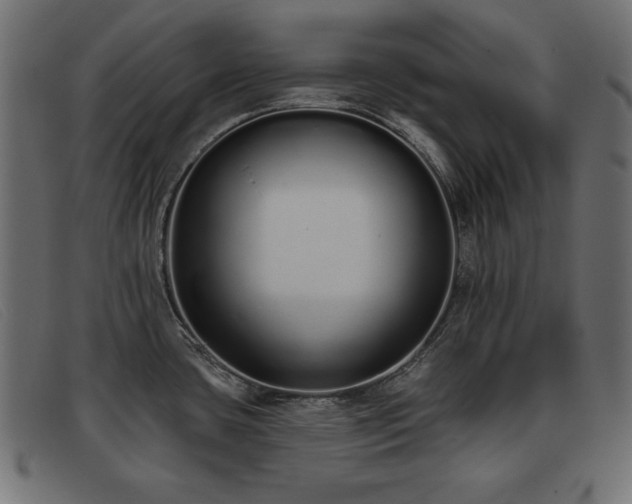 X0000093361435200710111446