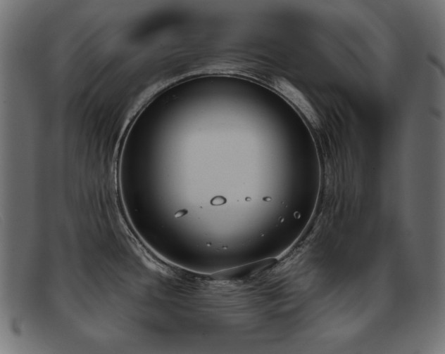X0000093361436200710111446