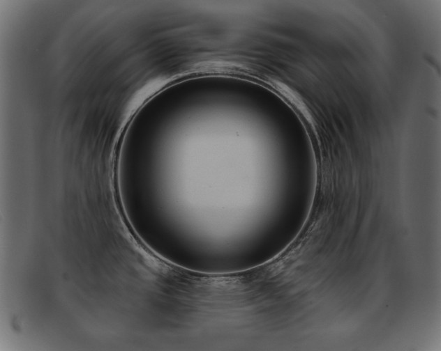 X0000093361437200710111446