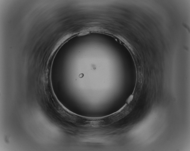 X0000093361438200710111446