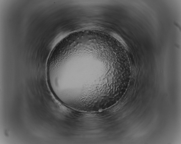 X0000093361439200710111446