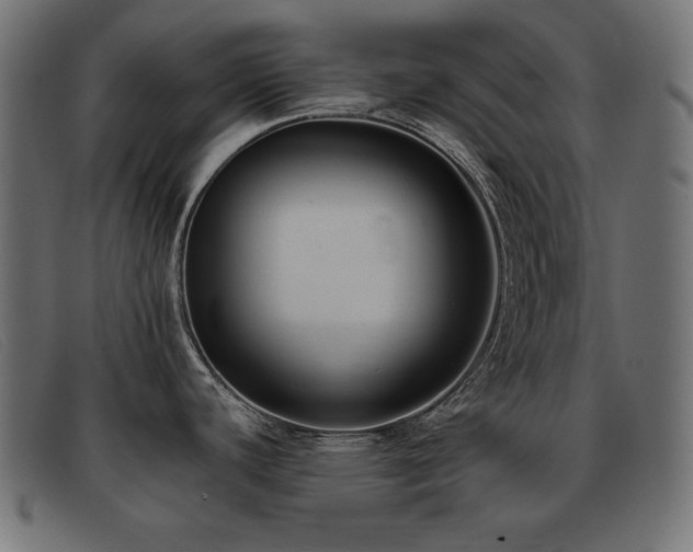 X0000093361440200710111446