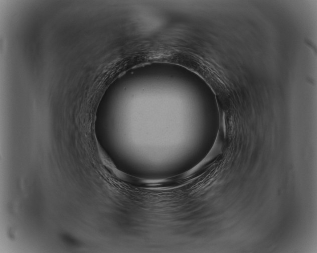 X0000093361441200710111446