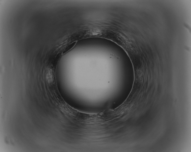 X0000093361442200710111446
