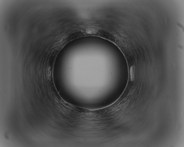 X0000093361443200710111446