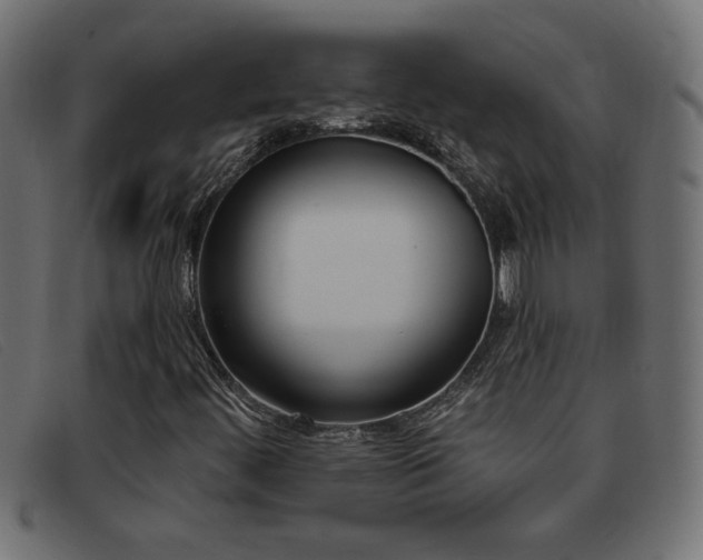 X0000093361444200710111446