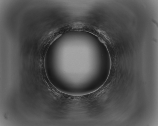 X0000093361445200710111446