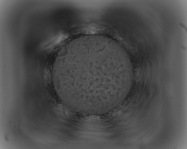 X0000093361446200710111446