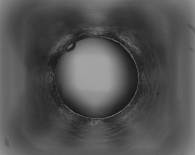 X0000093361447200710111446