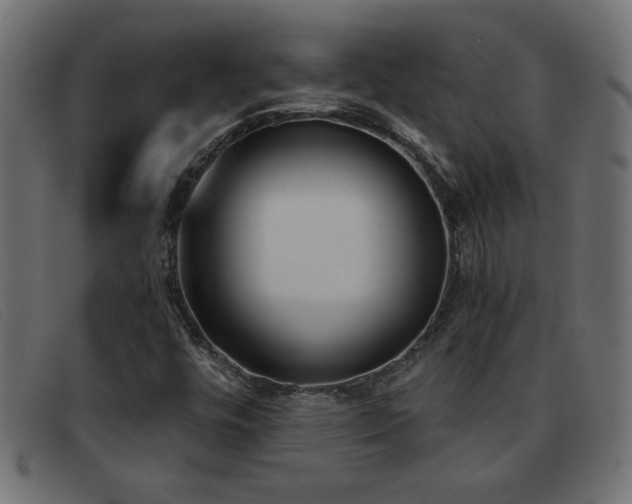 X0000093361448200710111446