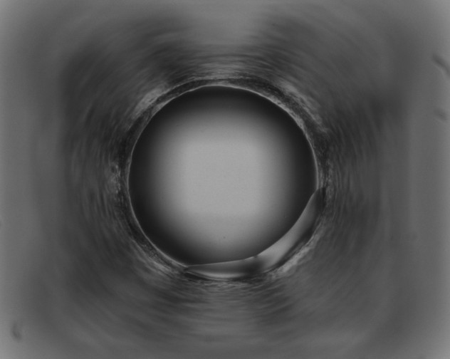 X0000093361449200710111446