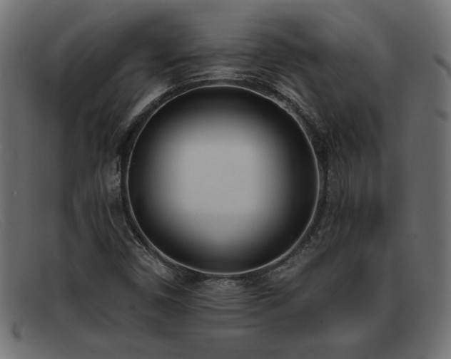 X0000093361450200710111446