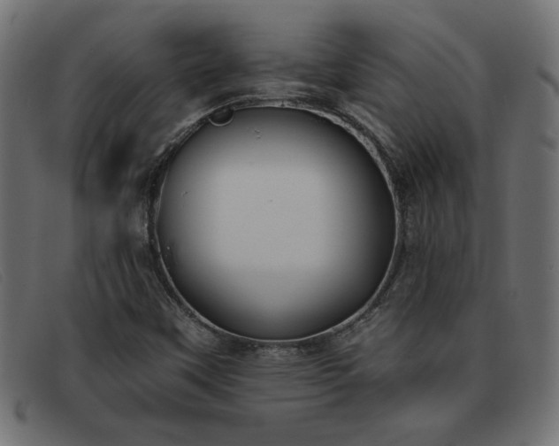 X0000093361451200710111446
