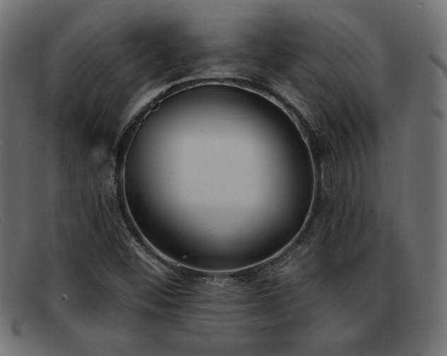 X0000093361452200710111446