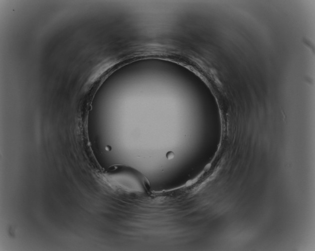 X0000093361453200710111446
