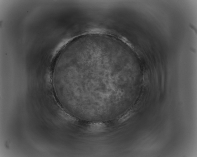 X0000093361454200710111446