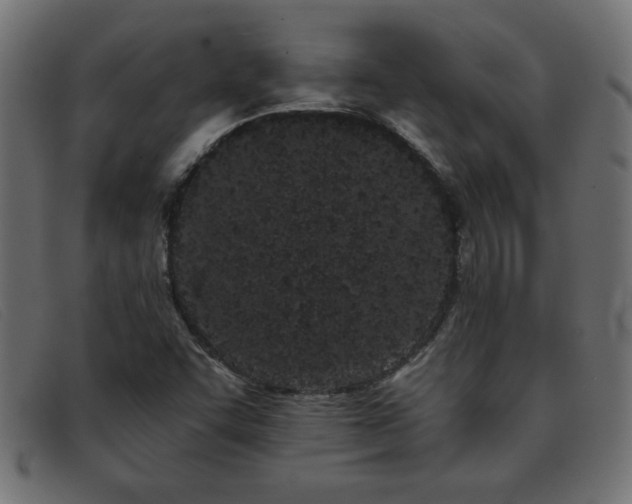 X0000093361455200710111446