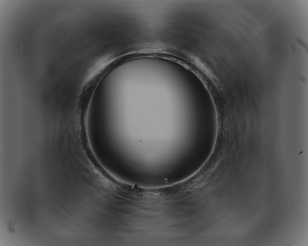X0000093361456200710111446