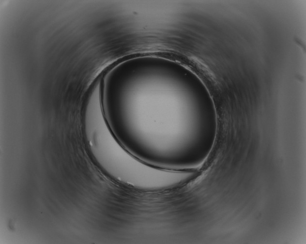 X0000093361457200710111446