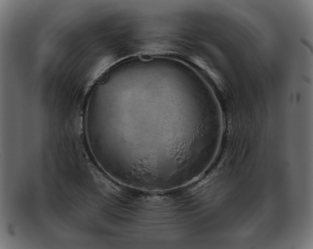 X0000093361459200710111446