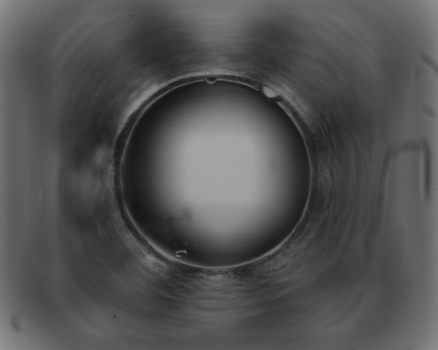 X0000093361460200710111446