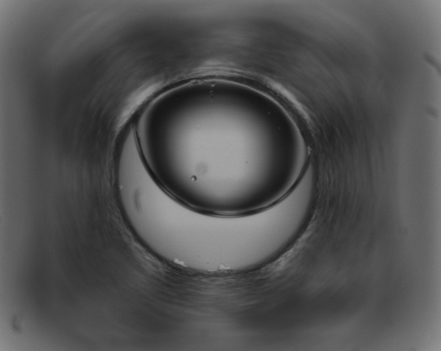 X0000093361461200710111446