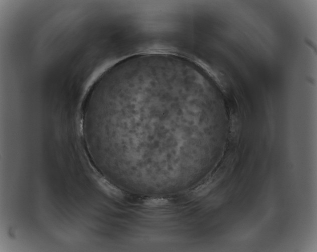 X0000093361462200710111446