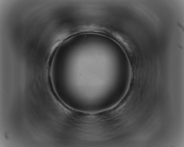 X0000093361463200710111446