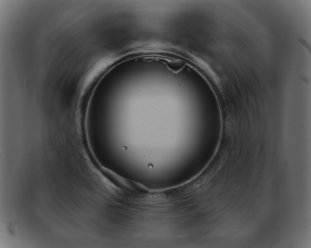 X0000093361464200710111446