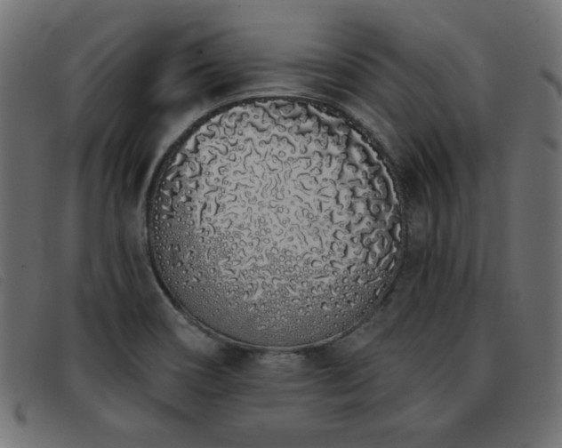 X0000093361466200710111446