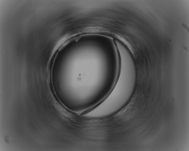 X0000093361467200710111446