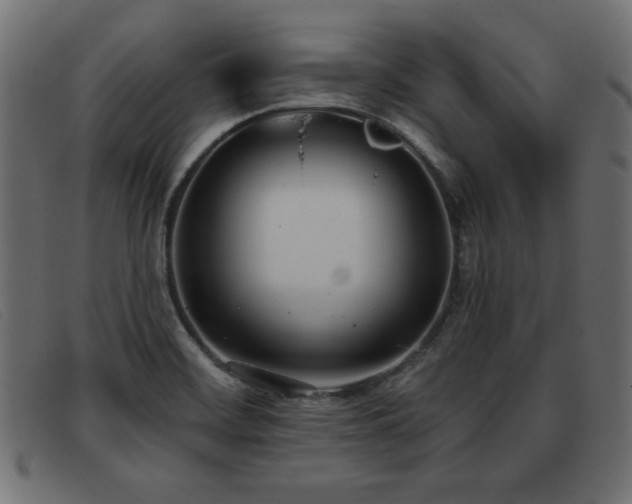 X0000093361468200710111446