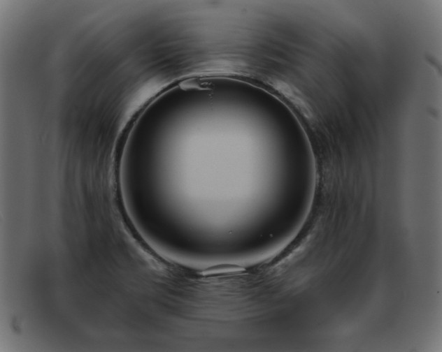 X0000093361469200710111446