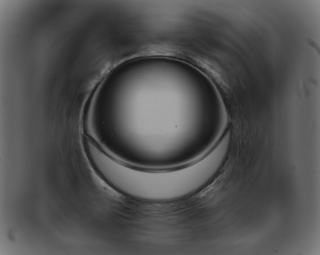 X0000093361471200710111446
