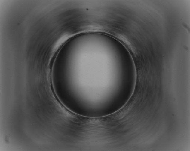 X0000093361472200710111446