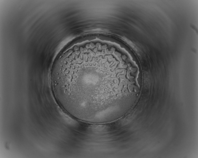 X0000093361474200710111446