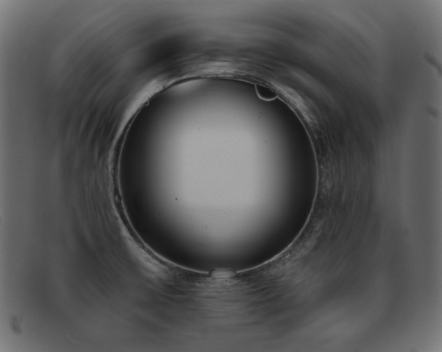 X0000093361475200710111446