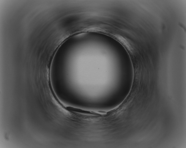 X0000093361476200710111446
