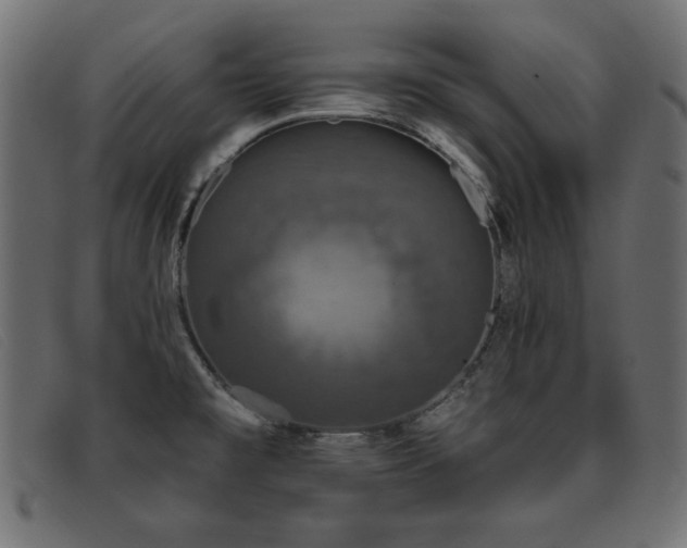 X0000093361477200710111446