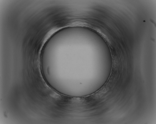 X0000093361478200710111445