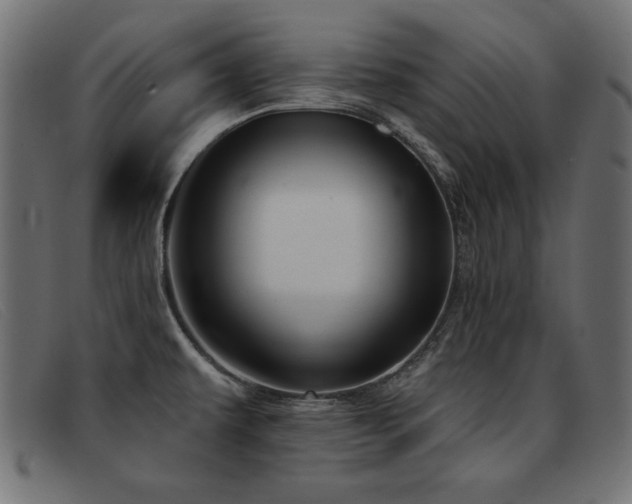 X0000093361479200710111445