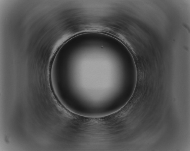 X0000093361480200710111445