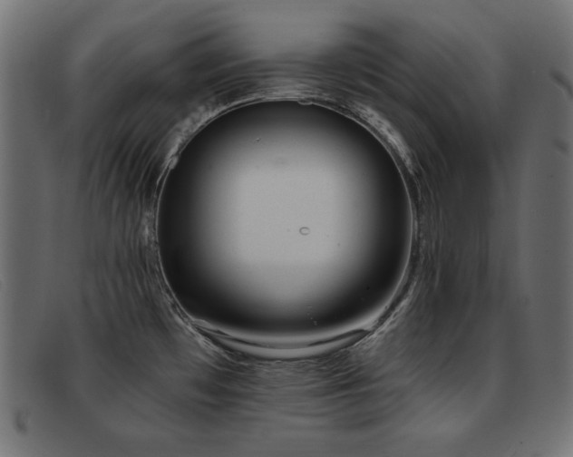 X0000093361481200710111445