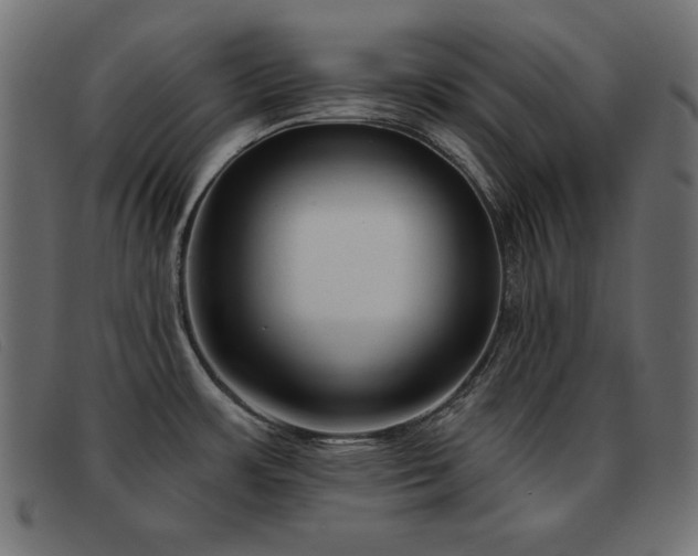 X0000093361483200710111445