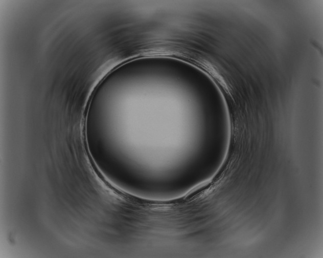 X0000093361484200710111445